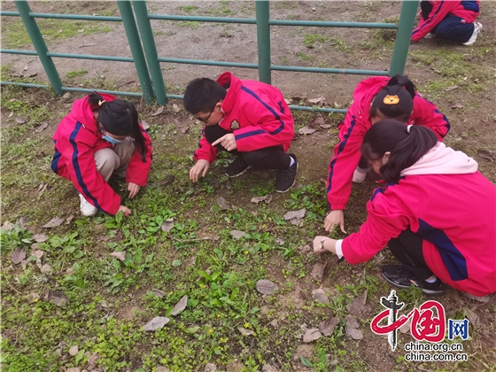 綿陽市雎水鎮小學校園環境綜合提質在行動