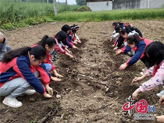 綿陽市安州區秀水三小開展學生勞動教育基地實踐活動