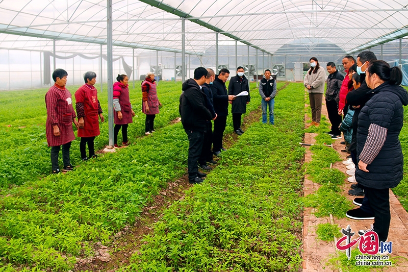 自貢市榮縣樂德鎮回龍殿村：《學習宣傳貫徹黨的二十大精神 繪就回龍新畫卷》