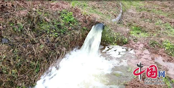 瀘州合江：河水“逆流”助農 提灌站抗旱保春耕