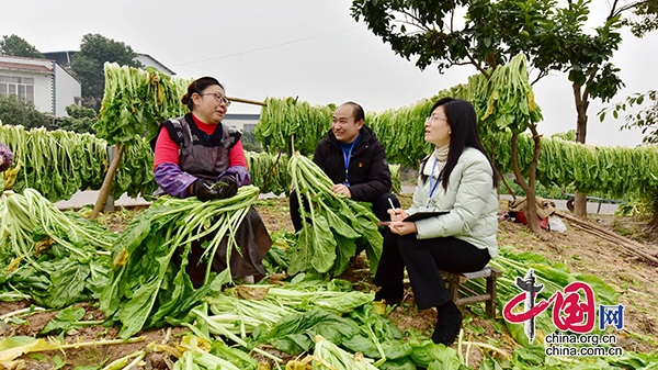 瀘州龍馬潭：春耕督察 護航民生