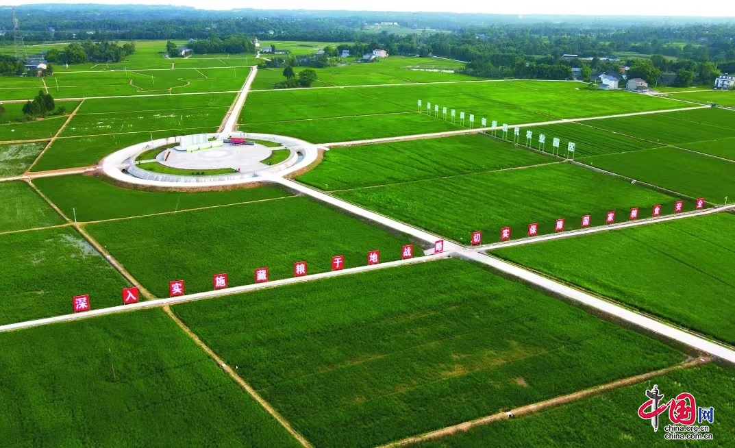 渠县粮油现代农业园区等4个达州园区获省级星级现代农业园区命名