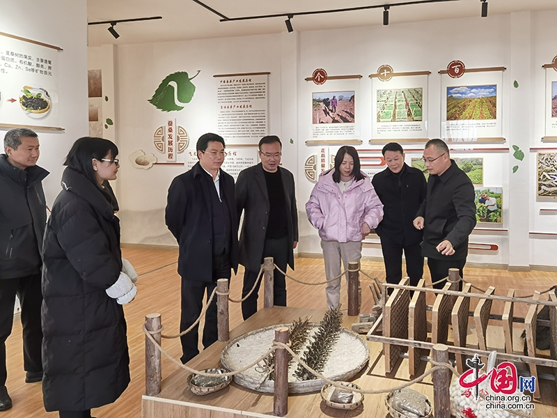自贡市文物文博专家组调研指导富顺县文化旅游发展工作