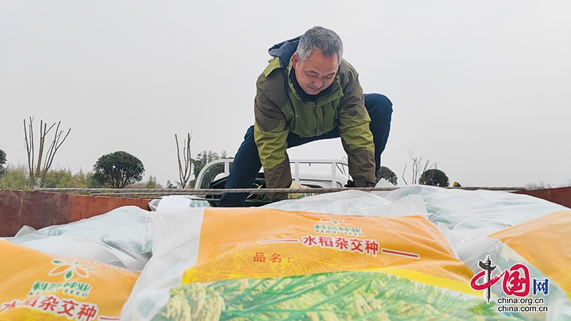 自贡荣县：4万亩优质稻种免费发放 为春耕生产注入活力