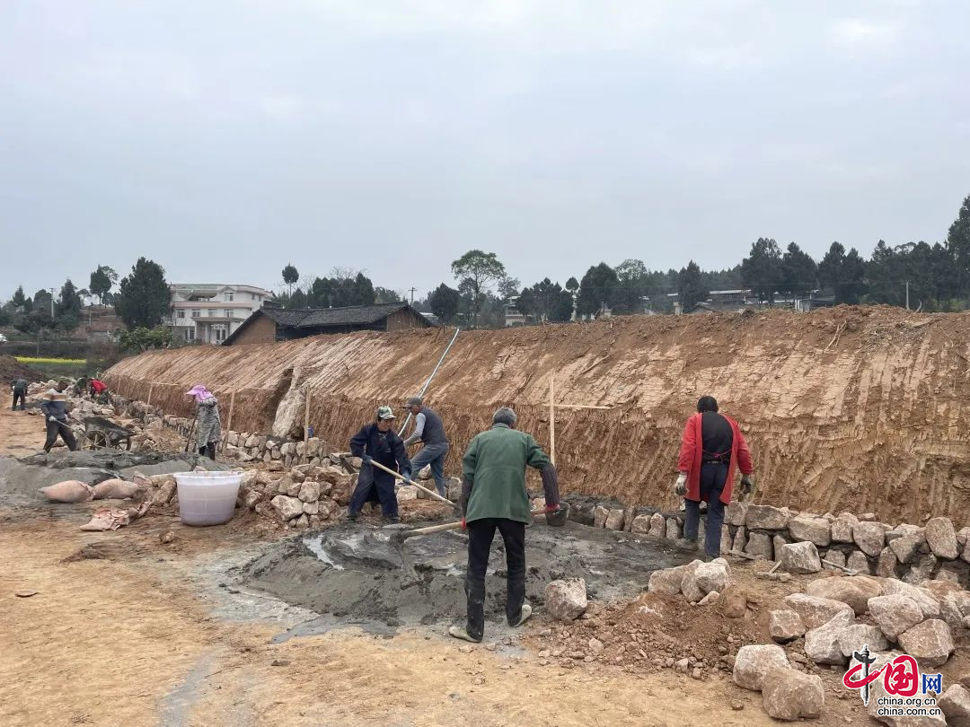 蒼溪縣：建好高標準農田 築牢糧食豐産“耕”基