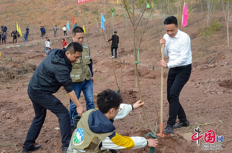 自贡荣县：积极植树造林 建设生态强县