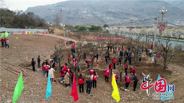 漢源縣開展2023年義務(wù)植樹活動(dòng)