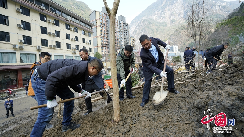 四川寶興：義務(wù)植樹添新綠，重建家園增色彩！