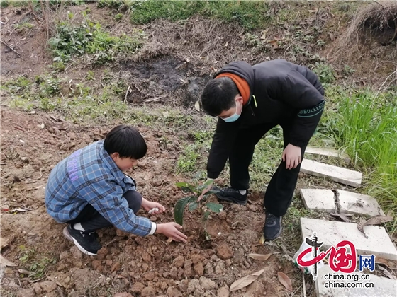 相約春天 愛綠護綠 綿陽市安州區塔水初中開展植樹節系列活動