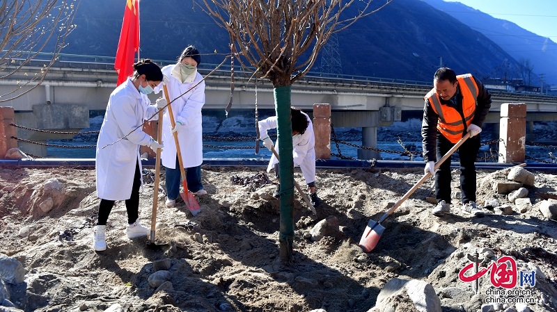 护岷江新绿 汶川志愿者在绵虒镇开展义务植树活动