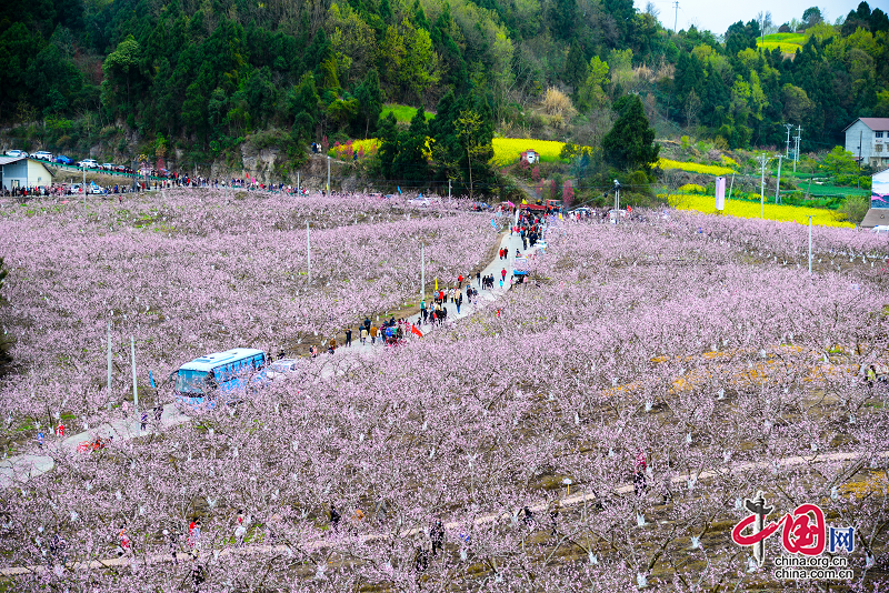 桃醉花海 品味乡愁 成都市金堂县又新镇第六届乡村文化旅游节盛大开幕