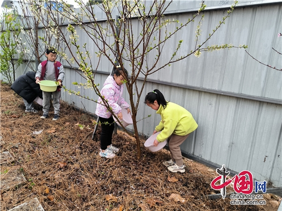 梓潼縣寶石鄉小學積極開展“奉獻綠色 扮靚校園”植樹節活動