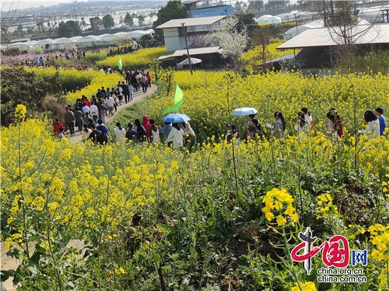 相約春天 愛綠護綠 綿陽市安州區塔水初中開展徒步活動 