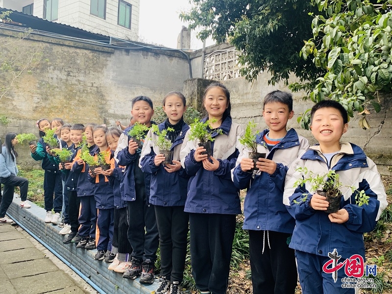 沙灣區踏水小學：春光無限好 植樹正當時