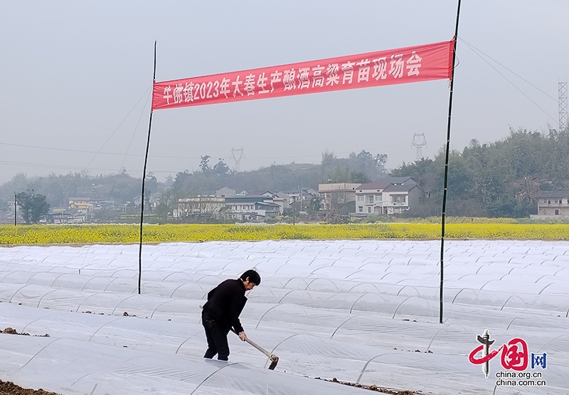自贡大安区：雨足郊原正得晴 地绵万里尽春耕