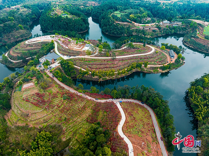 自贡贡井区：3000亩莲花彩色生态园区将向游客开放