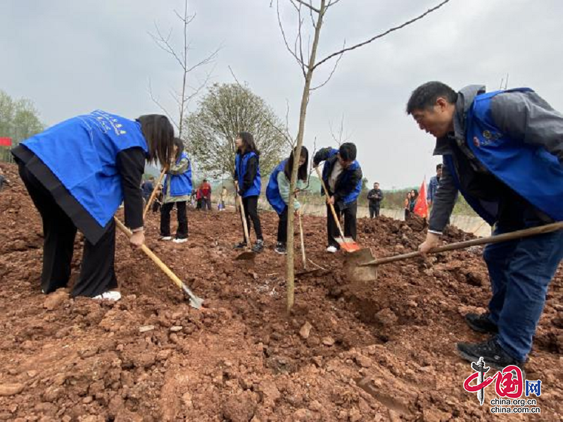 “綠秀夾江·植樹造林” 夾江縣工會藍在行動