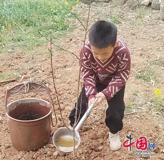 绵阳市三台县新鲁镇长安希望小学积极参与＂国际森林日＂活动