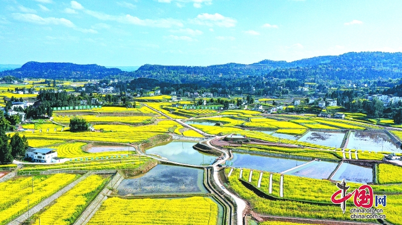 四川儀隴：金山村如何讓沃土生金？