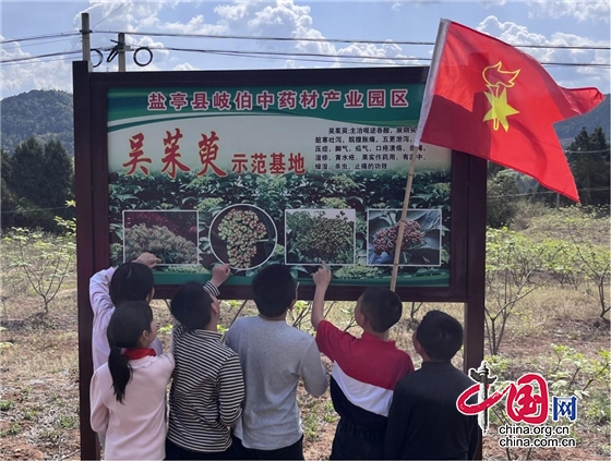 鹽亭縣青少年活動中心聯合岐伯鎮茶亭小學開展“祭拜岐伯 學習中醫”活動