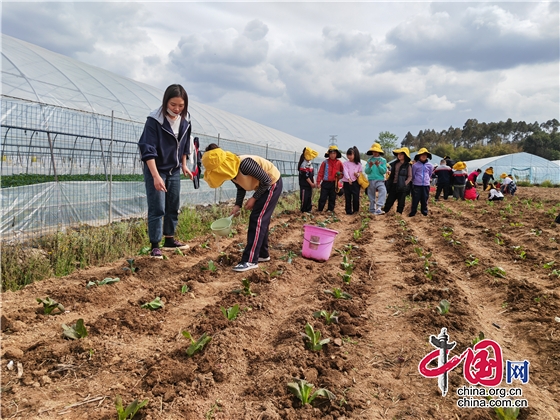 開鋤迎春  勞動最美 綿陽市沙汀實驗小學開展勞動實踐活動