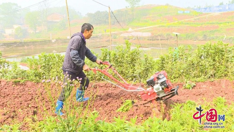 邻水县：补贴农机资金288万元为农业发展“添动力”