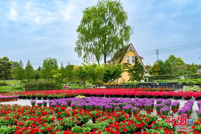 蓉欧产业对话”中国（成都）—欧洲花木产业论坛在成都温江举行