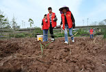 內江市東興區：撂荒地上種糧忙