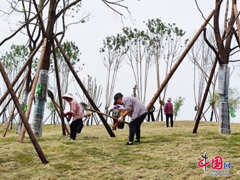 綿陽游仙：“票決制”凝聚民心最大公約數(shù)