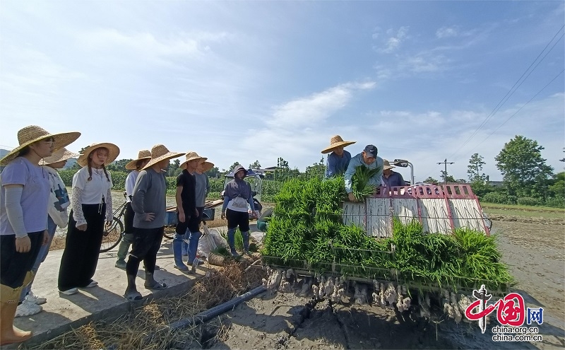 四川江油：2000余個新型農(nóng)業(yè)經(jīng)營主體成為鄉(xiāng)村振興的新“引擎”