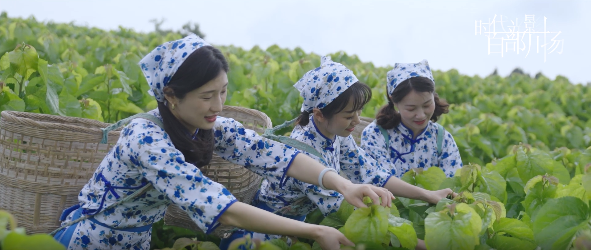 時代光影 百部川揚 | 《最美桑梓 桑田樂至》