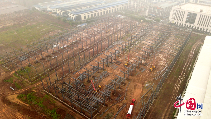 “标准地”改革与“交地即交证”联动 前锋工业用地审批走出“新路子”