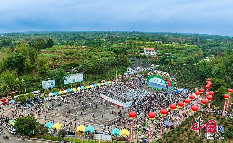 品清甜西瓜 度快乐周末 第十一届自贡沿滩九洪西瓜节开幕