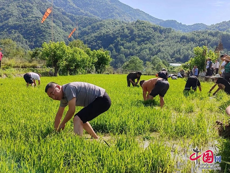 綿陽平武：農(nóng)民運(yùn)動會趣味多，傳承農(nóng)耕文化助力鄉(xiāng)村振興