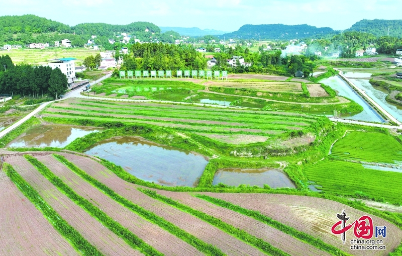 四川儀隴：以工代賑惠民生促振興