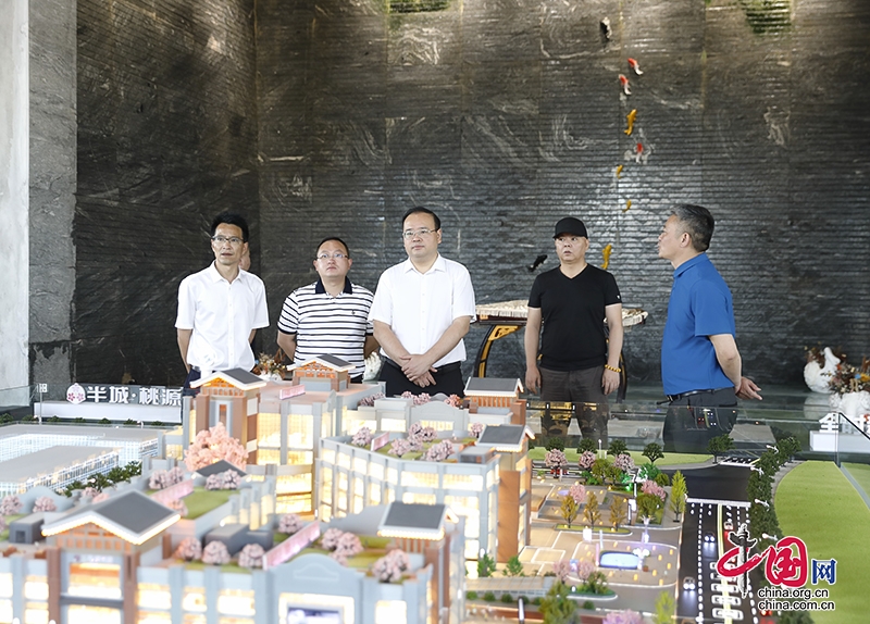 自贡市大安区委书记彭长林调研督导重点项目建设和重点企业工作情况