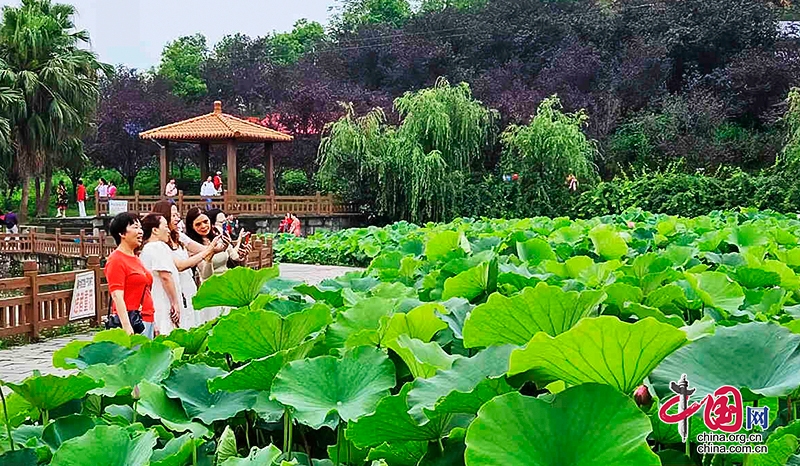 自贡西城第六届荷花文化旅游活动启动