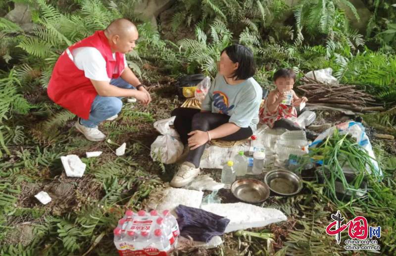 暖了，成都温江战旗红志愿者及时救助流浪母女