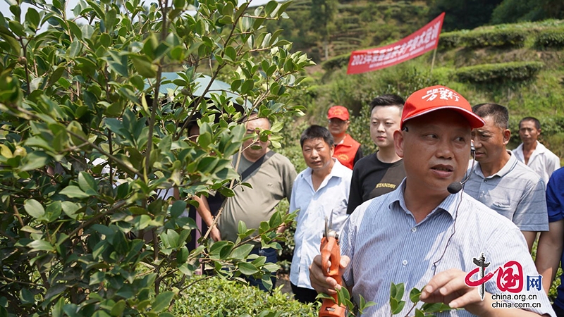 自贡：科技下乡助力荣县油茶产业高质量发展
