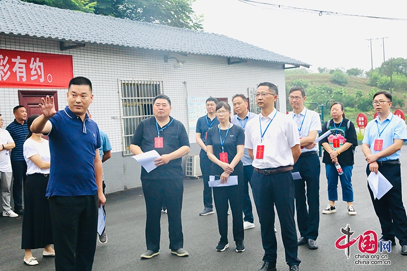 自贡市贡井区人大常委会对全区贯彻实施《四川省农村集体经济组织条例》情况开展集中执法检查