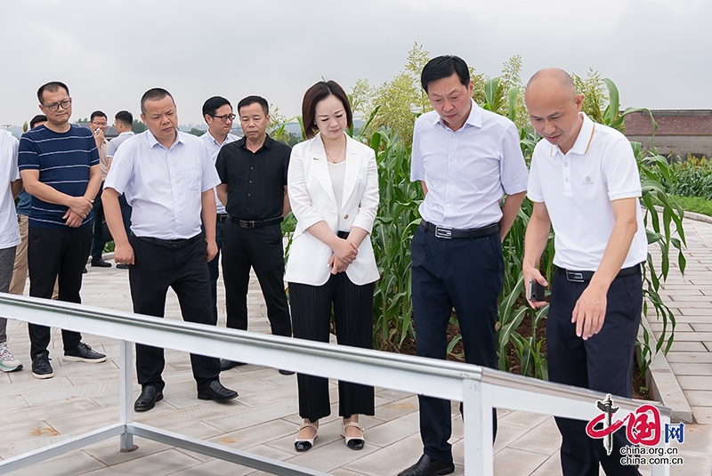 自贡市富顺县委书记杨斌带队调研乡村振兴和“千万工程”示范建设工作