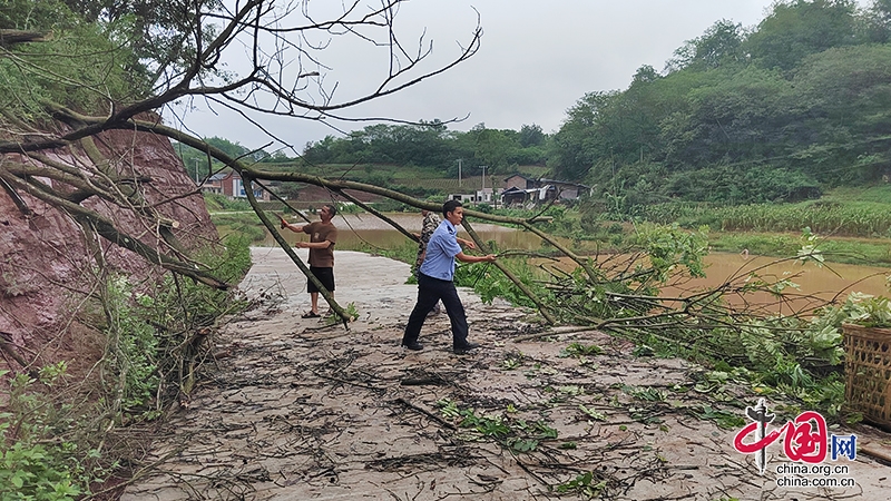 自贡沿滩区：党员冲在前 防汛显担当