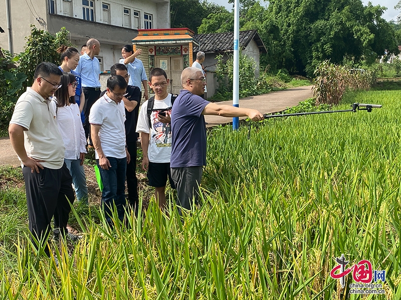 自贡国家调查基层基础工作现场观摩会在自贡市富顺县召开