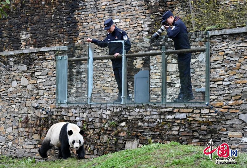 阿坝州：打造“熊猫家园·生态警务”品牌 全力守护生态安全