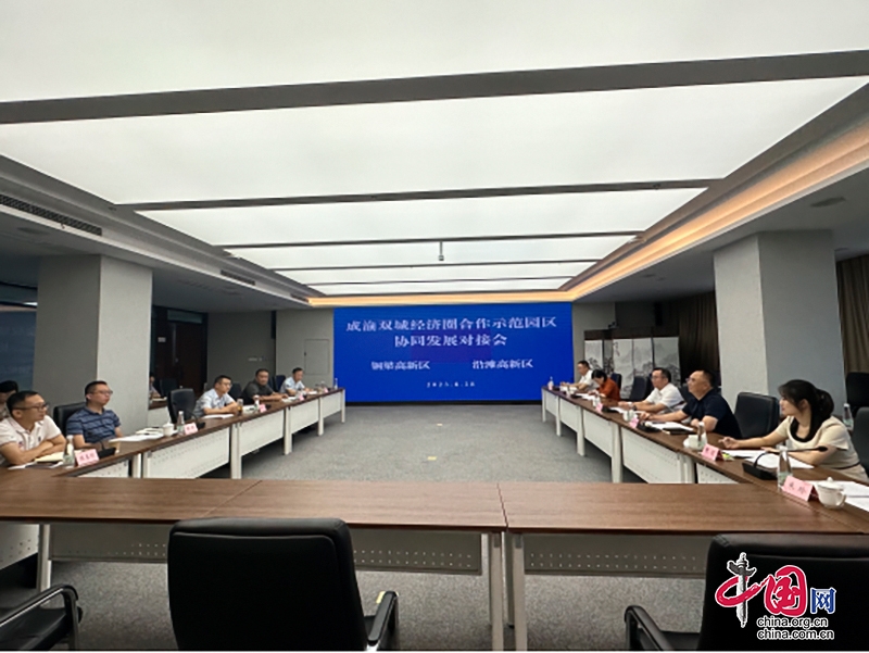 自贡沿滩区：深化成渝合作 共建经济新高地