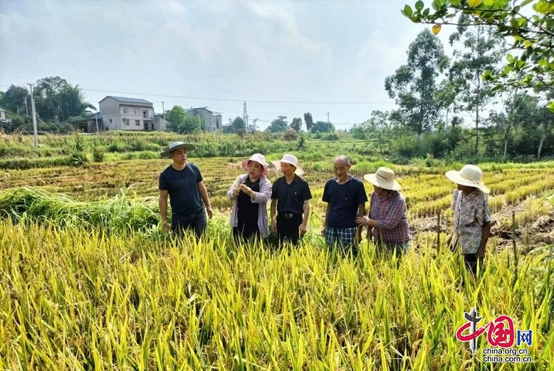 岳池县裕民镇：开展农技培训，助推农业绿色发展