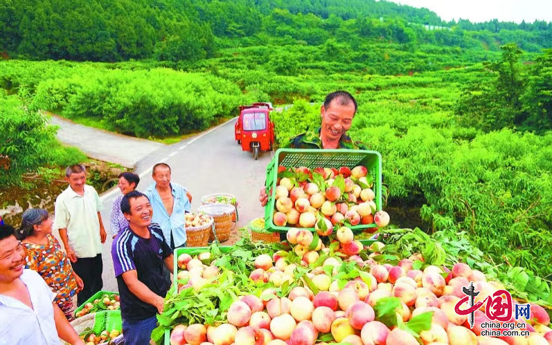 西充縣産品篇：品牌培塑 “好充食”成為四川省十大優秀區域公用品牌