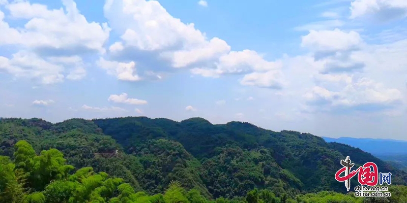 小山村“變臉記” | 瀘州市交通運輸局幫扶江門鎮向壩村記實