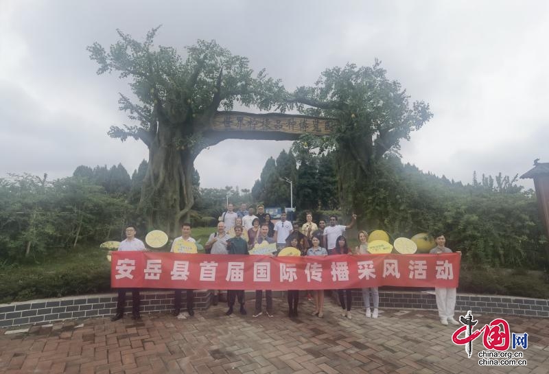 安岳县首届国际传播活动举行，外籍嘉宾寻味“中国柠檬之乡”