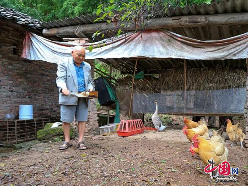 自贡自流井区：老人“宅”在家 服务送上门